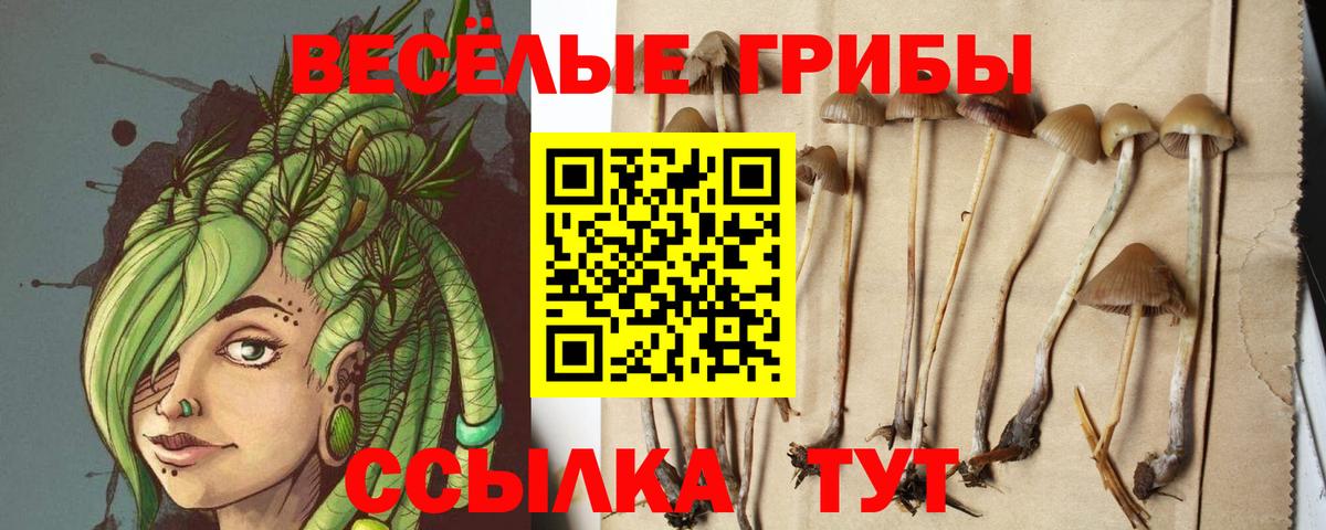 Псилоцибиновые грибы ЛСД  Псилоцибиновые грибы Magic Shrooms  Вход с VPN  Избербаш 