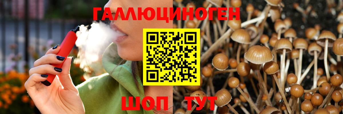 Псилоцибиновые грибы прущие грибы Избербаш